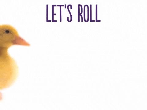 lets_roll
