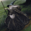 Gandalf