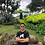 Kim_Thi