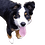 Nina