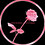 Velvet_Rose
